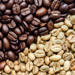 Raw and roasted coffee beans.