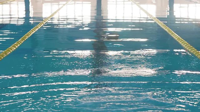 Female swimmer starts swim in pool HD video. Jump and dive to water for butterfly style training. Professional woman athlete.