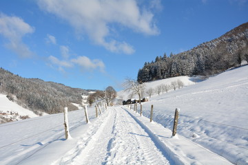 Fototapeta na wymiar Winter im Schwarzwald