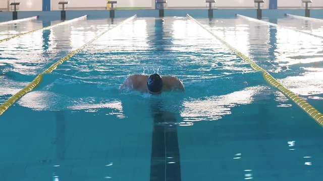 Male swimmer swims in pool HD slow-motion video. Butterfly training of professional athlete. Water splashing. Front view