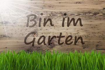 Sunny Wooden Background, Gras, Im Garten Means In The Garden
