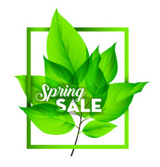 Spring sale on with fresh green leaves. Vector illustration.EPS10