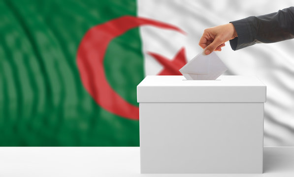 Voter on an Algerian flag background. 3d illustration