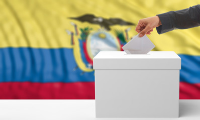 Voter on an Ecuador flag background. 3d illustration