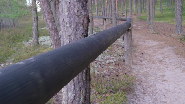 12757_The_wooden_handle_bar_of_the_walkway_with_the_trees_on_the_back.mov
