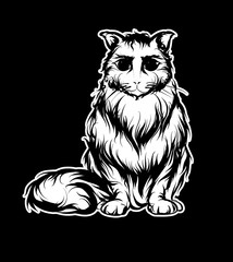 The cat on the black background