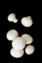 Organics White Mushrooms isolated on black