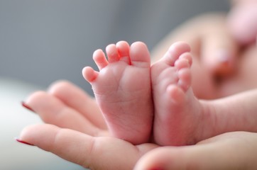 Obraz na płótnie Canvas Baby feet in the mother hands. Family love concept. Newborn beauty.