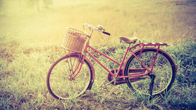 beautiful landscape image with red vintage bicycle at grass field ;vintage filter