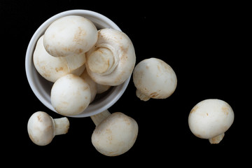 Organics White Mushrooms isolated on black