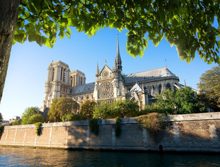 Fototapeta na wymiar Majestic Notre Dame