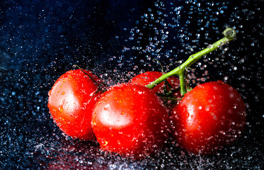 Frische Tomaten