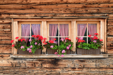 Fototapeta na wymiar fenêtres de chalet garnies de géraniums sur une façade ancienne en bois.