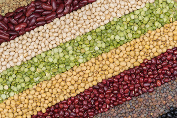 Multicolor dired legumes for diagonal background