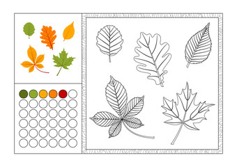 adult coloring book page with colored template, decorative frame and color swatch - vector black and white contour picture - autumn leaves