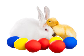 Rabbit and duckling with Easter eggs