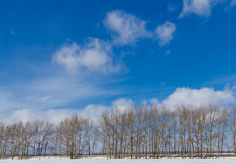 Spring sky over the snowy plain.