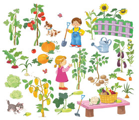 In the garden. Cute boy and girl collecting vegetables