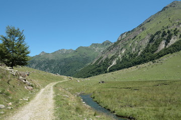 Naklejka na ściany i meble Sentier de randonné dans la vallée d'Orlu, Pyrénées ariégeoises, Midi-Pyrénées, France
