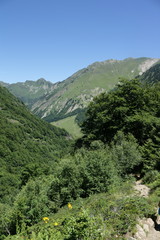 Fototapeta na wymiar Vallée d'Orlu dans les Pyrénées ariégeoises, Midi-Pyrénées, France