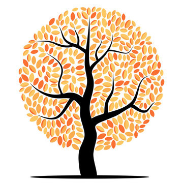 Vector tree with yellow leaves isolated on a white background
