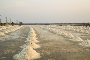sunset time Salt farm Laem Phak Bia, Phetchaburi, Thailand