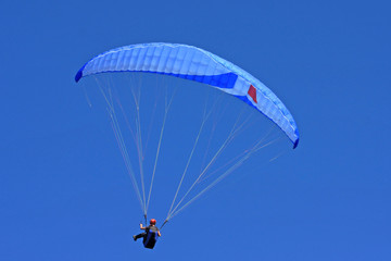 Paraglider