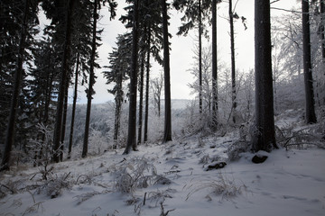 Mountains landscape covered with snow