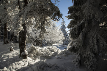 Fototapeta na wymiar Mountains landscape covered with snow