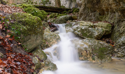 idyllische Landschaft mit Wasser und Moos 