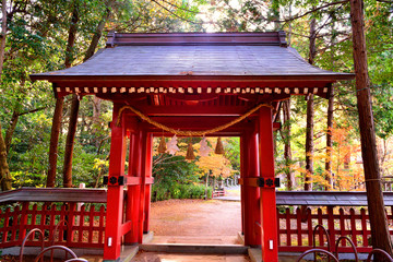 Naklejka premium 薦神社の紅葉