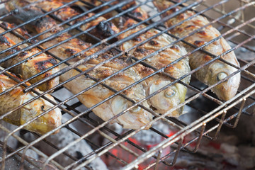 Grilling fish on campfire