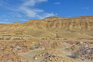 Fototapeta na wymiar Arid desert in Israel. 