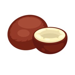 Coconut whole and half isolated on white background. Vector