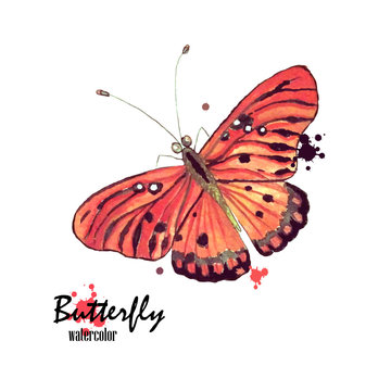 Watercolor butterfly