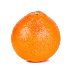 Grapefruit isolated on the white background