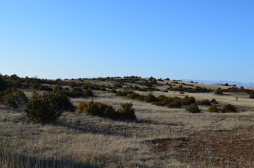 Causse du Larzac
