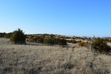 Causse du Larzac