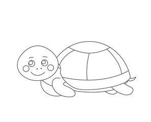 Turtle  for coloring book