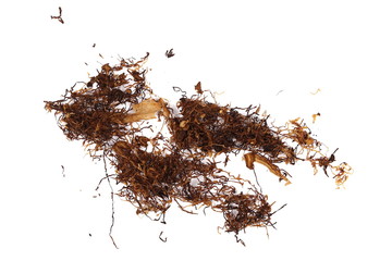 Dark tobacco isolated on white background, bright Virginia with dark rich Kentucky, top view