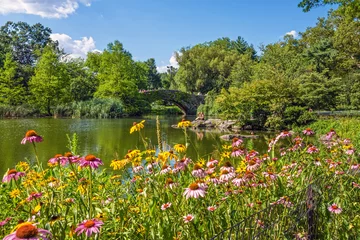 Keuken foto achterwand Central Park Central Park Duck Pond