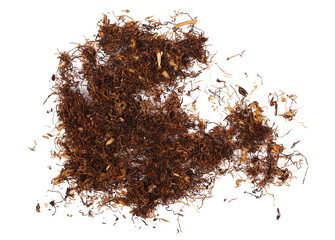 Dark tobacco isolated on white background, bright Virginia with dark rich Kentucky, top view