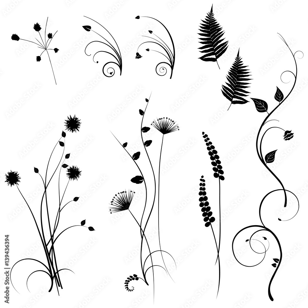 Wall mural collection for designers, meadow, plants vector set