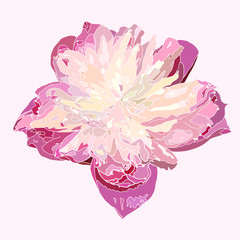 abstract pink flower, isolated beautiful blossom illustration, vector