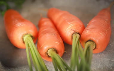Newly harvested carrots