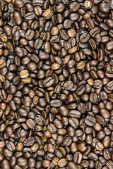 coffee bean