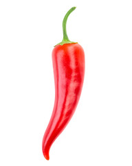 chili pepper isolated
