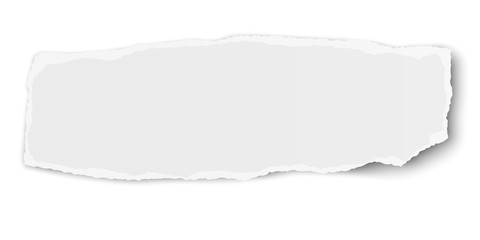 White elongate paper tear wisp with soft shadow isolated