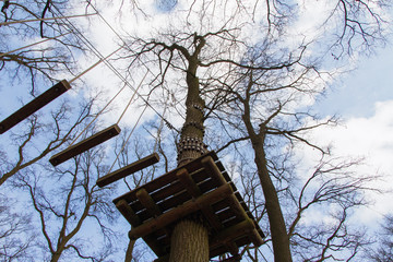 Hochseilgarten in einem sehr schönem Eichenwald
