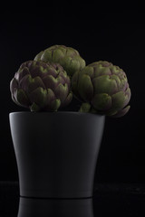 Obraz premium artichokes